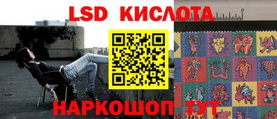 гашик Донской