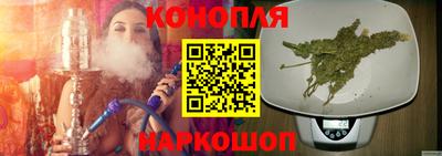 гашик Донской