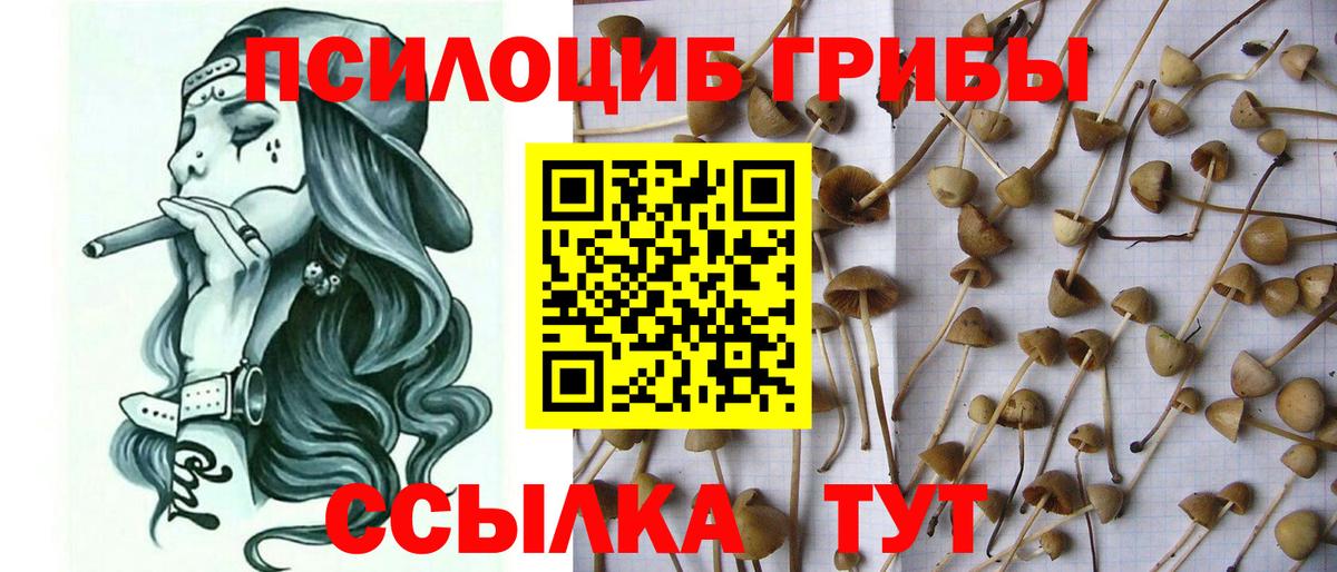 Малгобек  Псилоцибиновые грибы Magic Shrooms  Вход с VPN 
