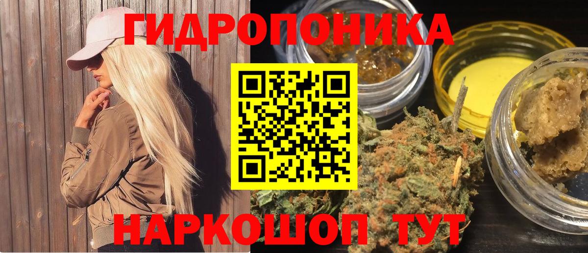 Каннабис SATIVA & INDICA Малгобек